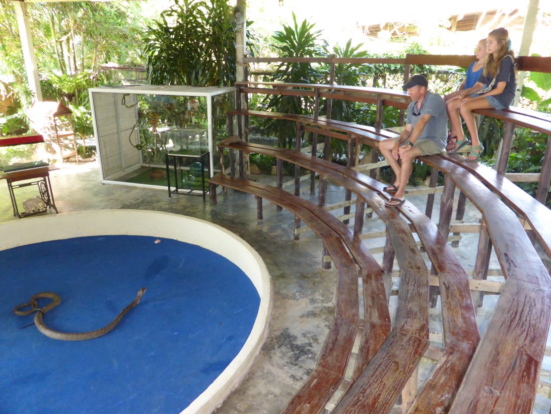 Family sits on back row of empty stadium