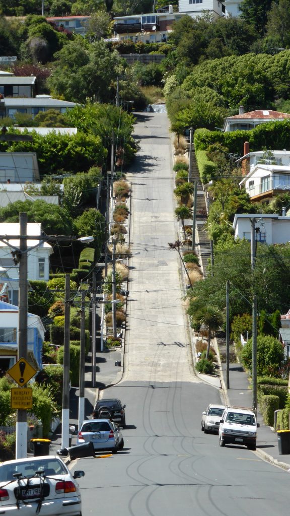 Baldwin Street New Zealand