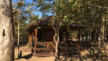 Shindzela tent cabin