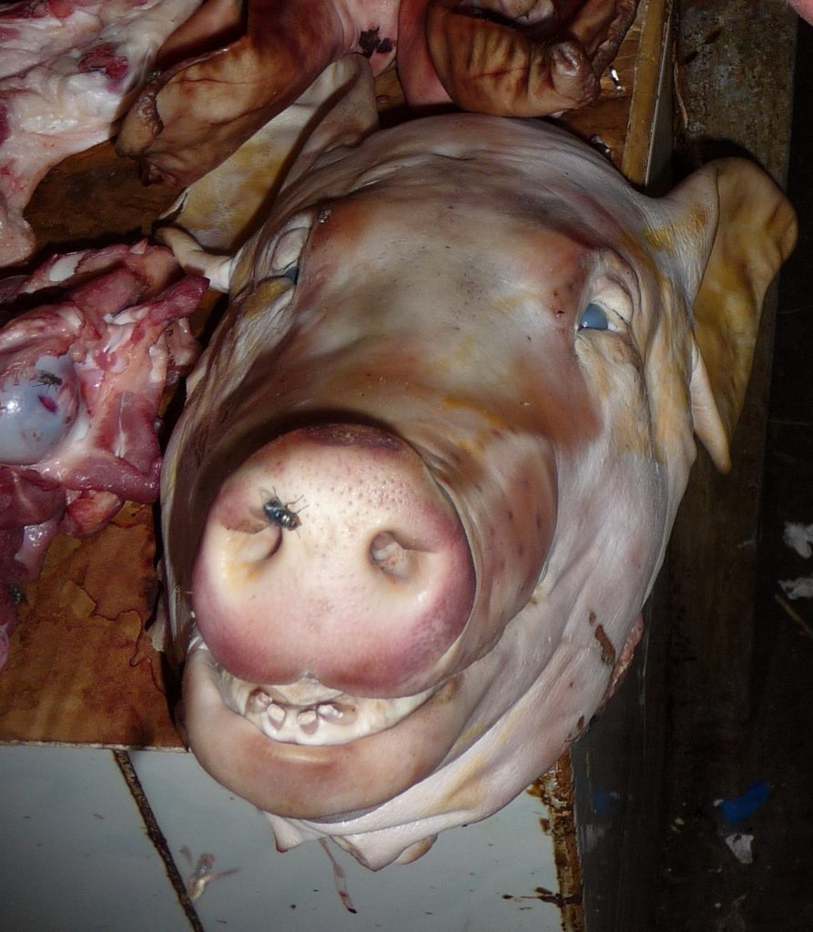 Pig head Siem reap market