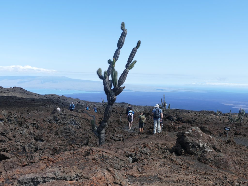 Volcan Chica