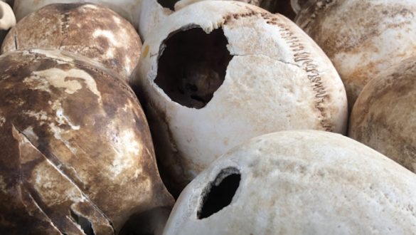 Skulls of victims killed by strikes to the head with hoes, shovels, etc.