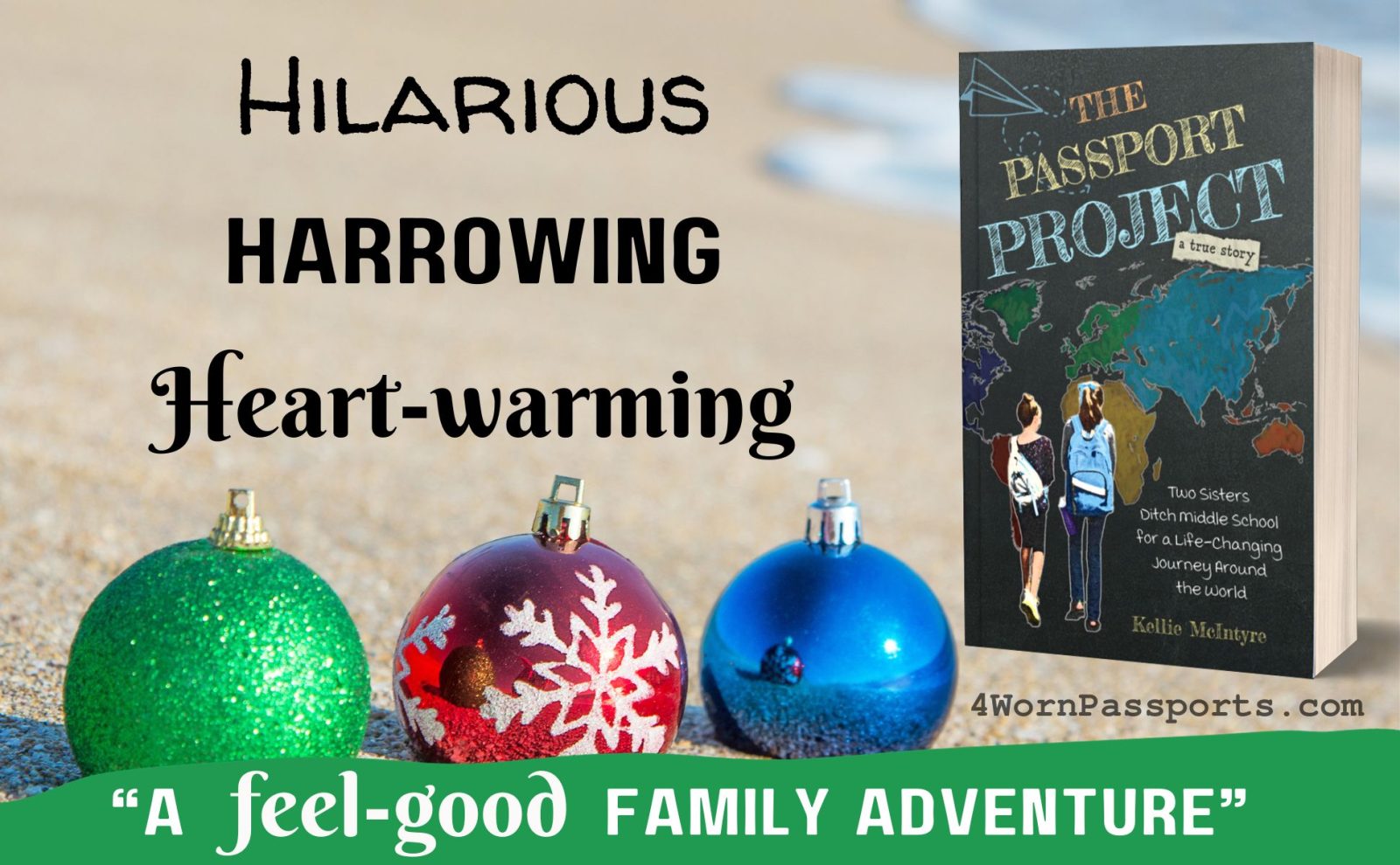 The Passport Project book travel memoir for teens, families, travelers